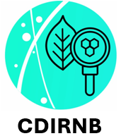 Logo CDIRNB